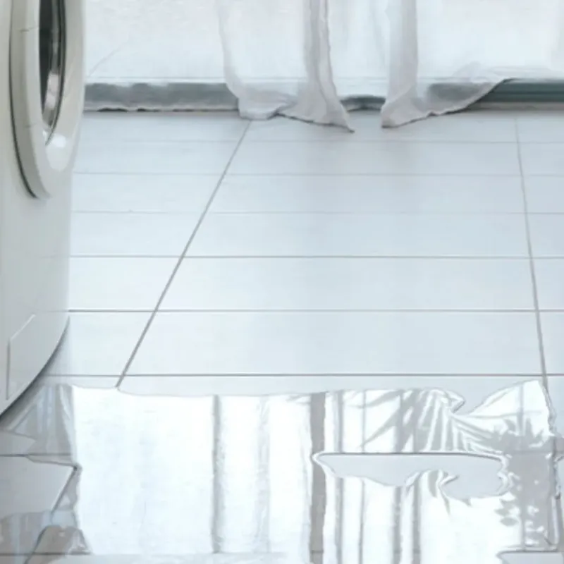 Appliance Leak Cleanup in Georgetown, GA